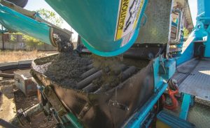 İlginizi Çekebilir