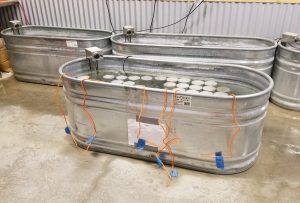 İlginizi Çekebilir